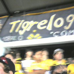 Podcast thumbnail for TigreLOG - Tudo sobre o Criciúma E.C.