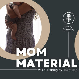 Podcast thumbnail for Mom Material