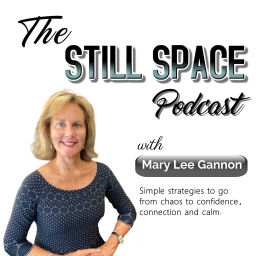 Podcast thumbnail for The Still Space Podcast