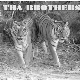 Podcast thumbnail for THA BROTHERS