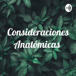 Podcast thumbnail for Consideraciones Anatómicas