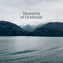 Podcast thumbnail for Moments of Gratitude