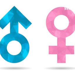 Podcast thumbnail for Diferencia entre Hombres y Mujeres y como se complementan