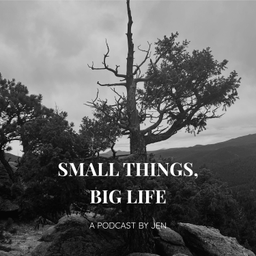 Podcast thumbnail for Small Things, Big Life
