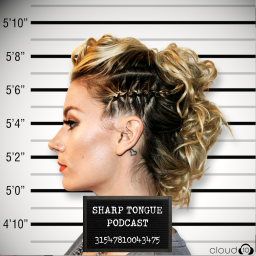 Podcast thumbnail for Sharp Tongue