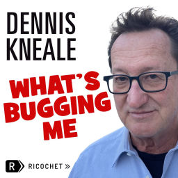 Podcast thumbnail for What's Bugging Me