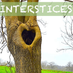 Podcast thumbnail for INTERSTICES