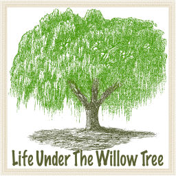 Podcast thumbnail for Life Under The Willow Tree