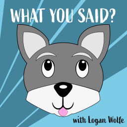 Podcast thumbnail for What You Said?