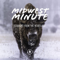 Podcast thumbnail for Midwest Minute