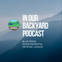 Podcast thumbnail for In Our Backyard Podcast