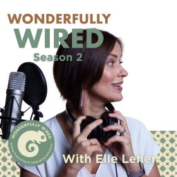 Podcast thumbnail for Wonderfully Wired