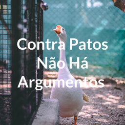Podcast thumbnail for Contra Patos Não Há Argumentos