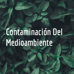 Podcast thumbnail for Contaminación Del Medioambiente
