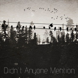 Podcast thumbnail for Didn’t Anyone Mention?