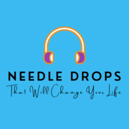 Podcast thumbnail for Needle Drops That Will Change Your Life