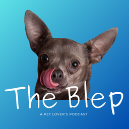 Podcast thumbnail for The Blep Show