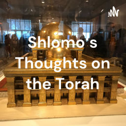 Podcast thumbnail for Shlomo's Thoughts on the Torah