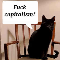 Podcast thumbnail for Power Cut Podcasts