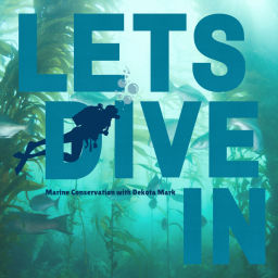 Podcast thumbnail for Let's Dive In - Marine Conversations