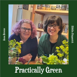 Podcast thumbnail for Practically Green
