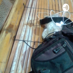 Podcast thumbnail for Lion