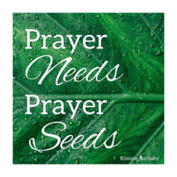 Podcast thumbnail for Prayer Needs Prayer Seeds