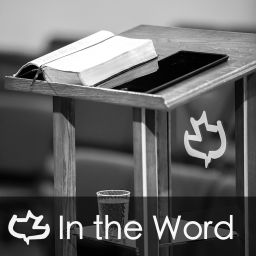 Podcast thumbnail for In the Word