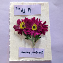Podcast thumbnail for Al Pi Parsha Podcast