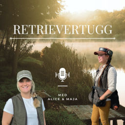 Podcast thumbnail for Retrievertugg