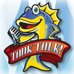 Podcast thumbnail for Tank Talk