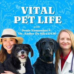 Podcast thumbnail for Vital Pet Life Podcast