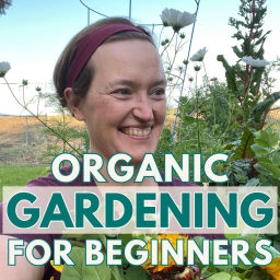 Podcast thumbnail for Organic Gardening For Beginners: Tips To Plan And Grow Your Own Productive Garden