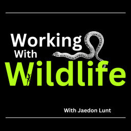 Podcast thumbnail for Working With Wildlife