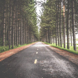 Podcast thumbnail for Emmaus Road Church
