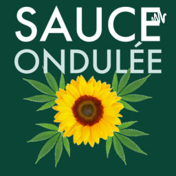 Podcast thumbnail for Sauce Ondulée