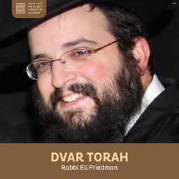 Podcast thumbnail for Dvar Torah, Rabbi Eli Friedman