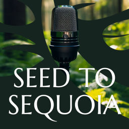 Podcast thumbnail for Seed to Sequoia