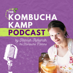 Podcast thumbnail for Kombucha Kamp Podcast by Hannah Ruhamah the Kombucha Mamma