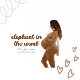 Podcast thumbnail for Elephant in the Womb