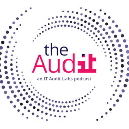 Podcast thumbnail for The Audit