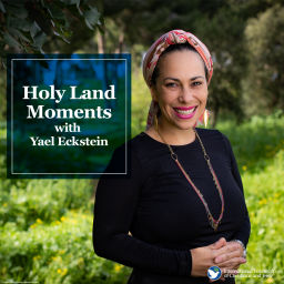 Podcast thumbnail for Holy Land Moments