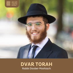 Podcast thumbnail for Dvar Torah, Rabbi Dovber Moshiach