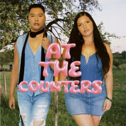 Podcast thumbnail for At the Counters