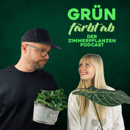 Podcast thumbnail for Grün färbt ab - der Zimmerpflanzen Podcast