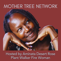 Podcast thumbnail for Mother Tree Network