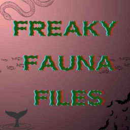 Podcast thumbnail for Freaky Fauna Files