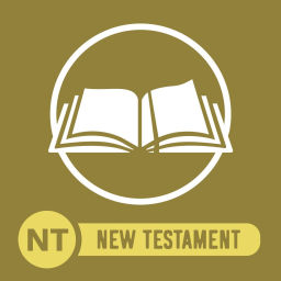 Podcast thumbnail for Commuter Bible NT