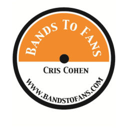 Podcast thumbnail for Bands To Fans