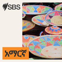 Podcast thumbnail for SBS Amharic - ኤስ.ቢ.ኤስ አማርኛ